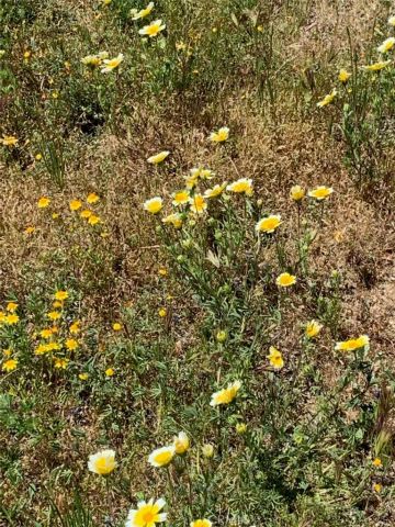 0 Inland, Aguanga, CA 92536