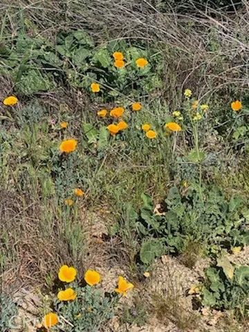 0 Inland, Aguanga, CA 92536