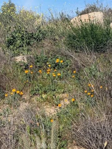 0 Inland, Aguanga, CA 92536