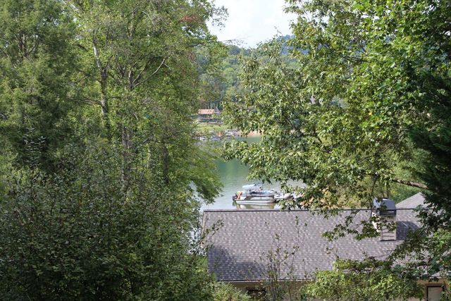 310 Licklog Court, Hayesville, NC 28904