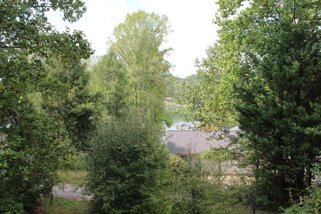 310 Licklog Court, Hayesville, NC 28904