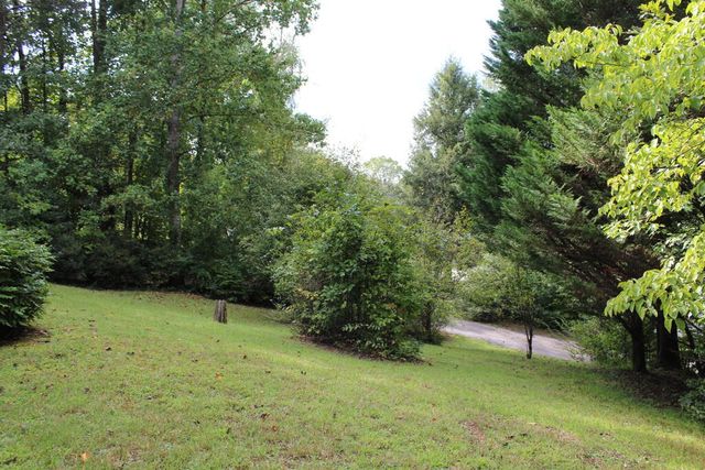 310 Licklog Court, Hayesville, NC 28904