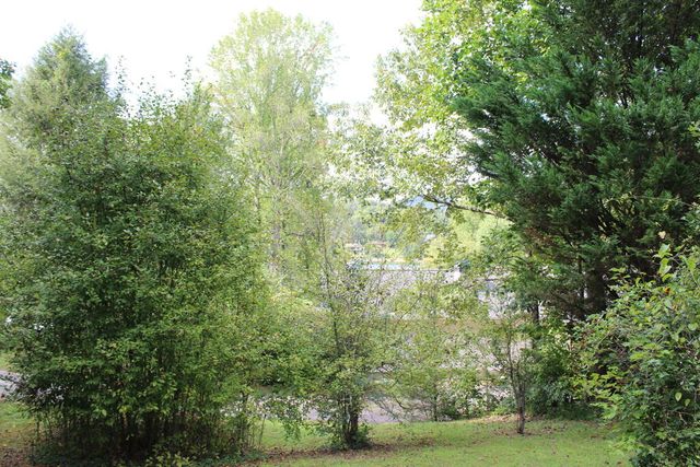 310 Licklog Court, Hayesville, NC 28904