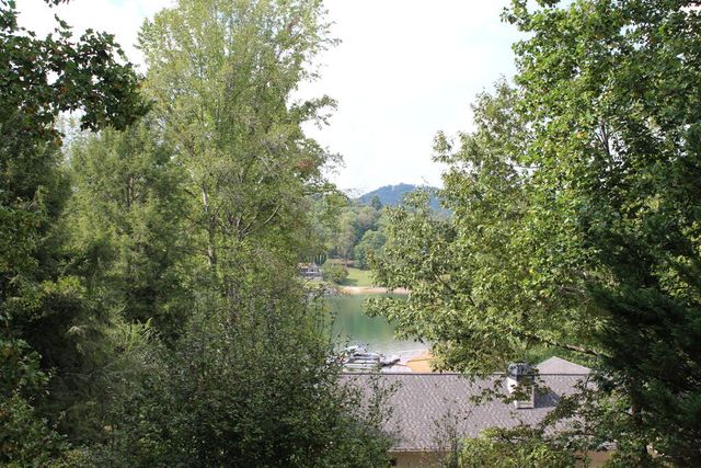 310 Licklog Court, Hayesville, NC 28904