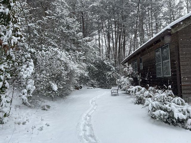 310 Licklog Court, Hayesville, NC 28904