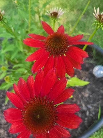 25 Marshall Avenue, Hartford, VT 05001