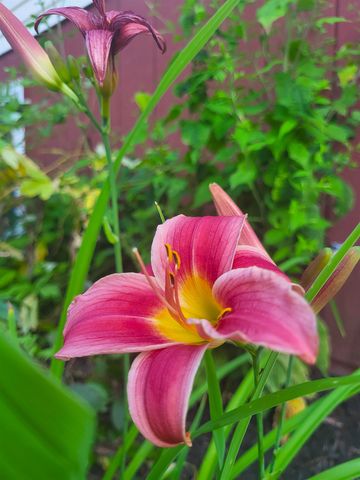 25 Marshall Avenue, Hartford, VT 05001