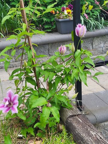 25 Marshall Avenue, Hartford, VT 05001