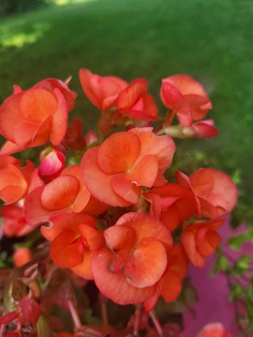 25 Marshall Avenue, Hartford, VT 05001