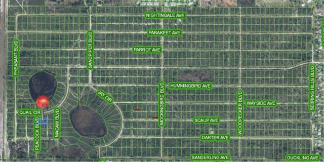 226 PEACOCK BOULEVARD, Sebring, FL 33872