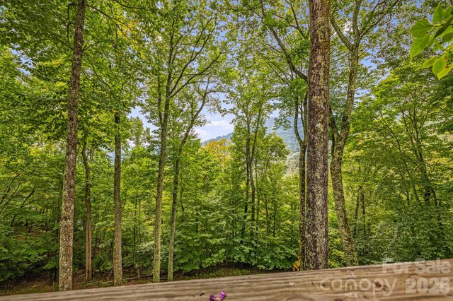 215 Goldenleaf Road, Mars Hill, NC 28754