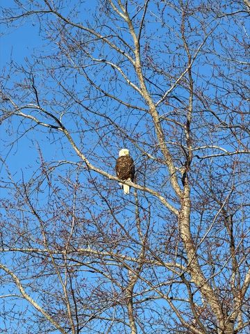 5498 Windridge Road, Oregon, WI 53575