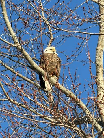 5498 Windridge Road, Oregon, WI 53575