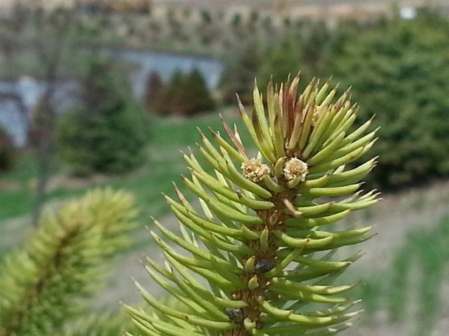 1553 Meister Lane, Waunakee, WI 53597