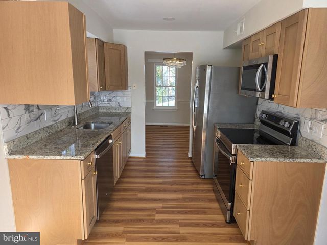 10217 MCKEAN CT, Great Falls, VA 22066