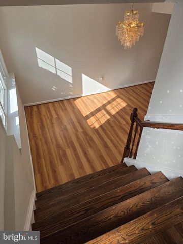 10217 MCKEAN CT, Great Falls, VA 22066