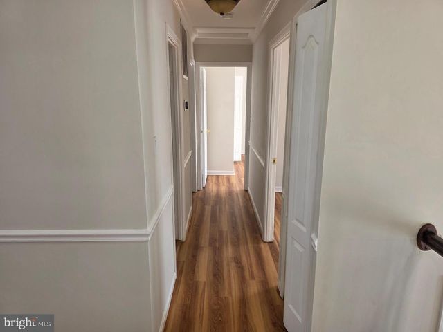 10217 MCKEAN CT, Great Falls, VA 22066