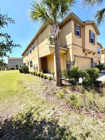 6206 SCARLET DARTER WAY 100N, Tampa, FL 33625