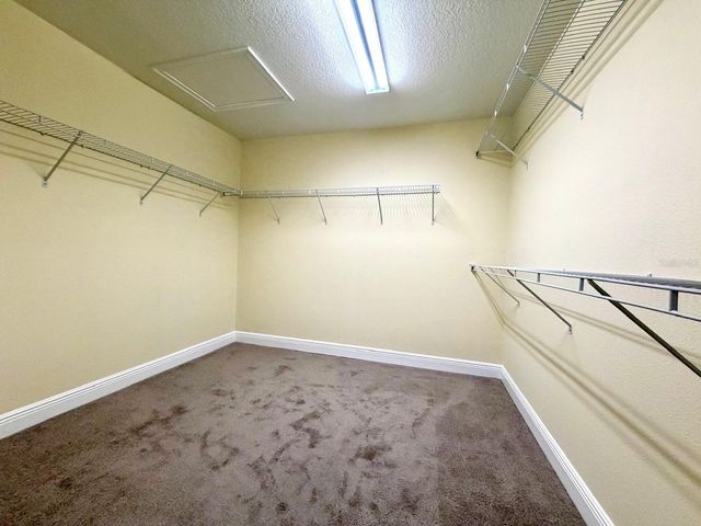 6206 SCARLET DARTER WAY 100N, Tampa, FL 33625