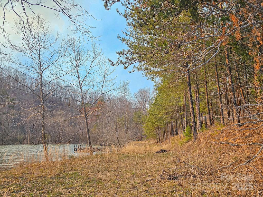 TBD Parkway Road N 3, Mill Spring, NC 28756