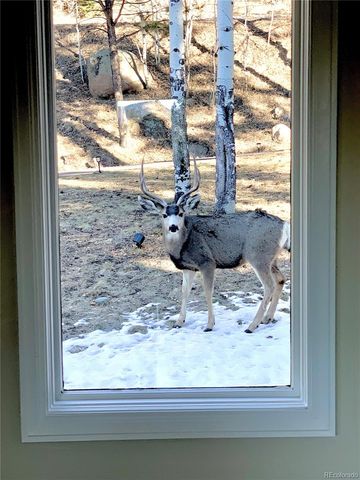 25100 Sunset Lane, Evergreen, CO 80439