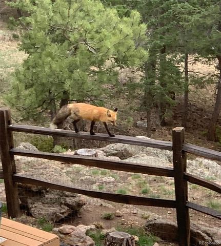 25100 Sunset Lane, Evergreen, CO 80439