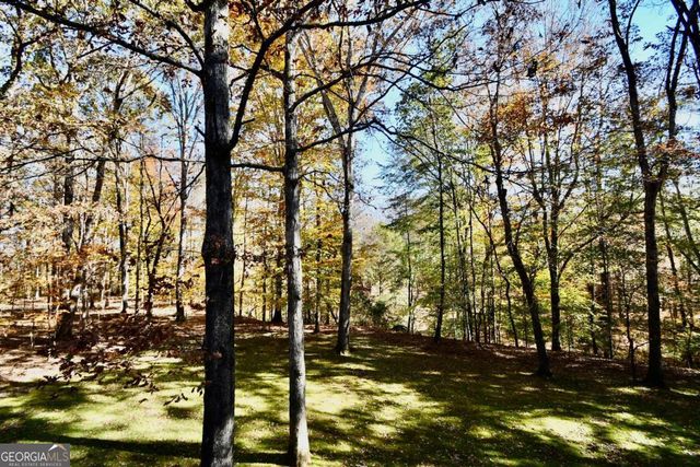 218 Thornhill Drive, Athens, GA 30607