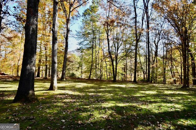 218 Thornhill Drive, Athens, GA 30607