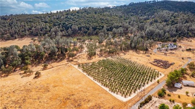 21378 Jerusalem Grade, Lower Lake, CA 95461