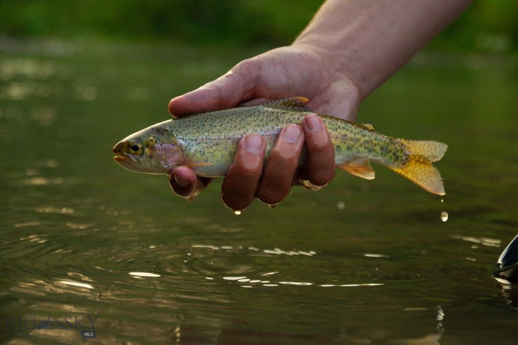 3592 Bridger Canyon Road, Bozeman, MT 59715 photo 11