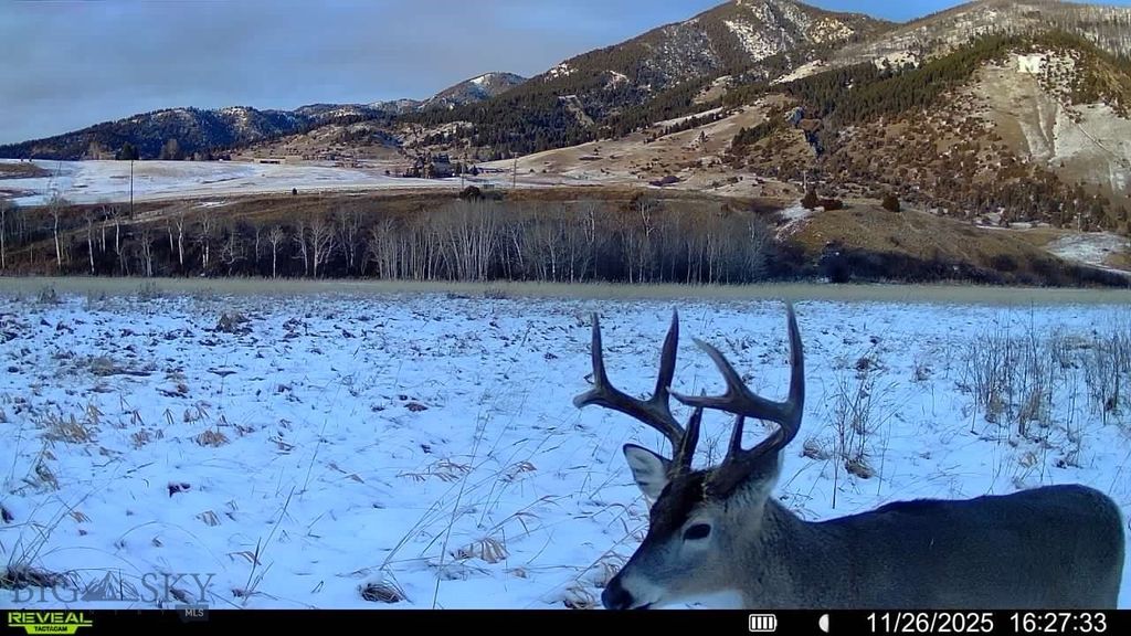 3592 Bridger Canyon Road, Bozeman, MT 59715 photo 21