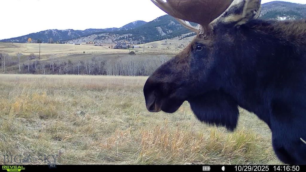 3592 Bridger Canyon Road, Bozeman, MT 59715 photo 22