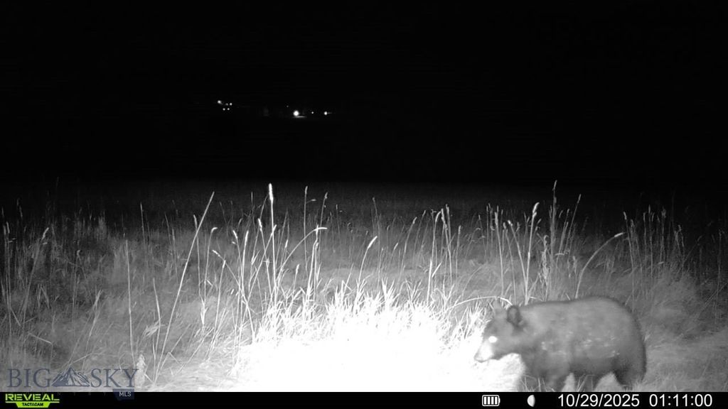 3592 Bridger Canyon Road, Bozeman, MT 59715 photo 23