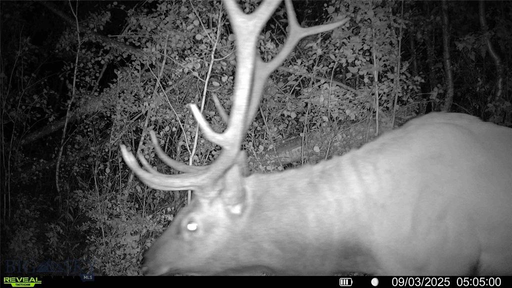 3592 Bridger Canyon Road, Bozeman, MT 59715 photo 24