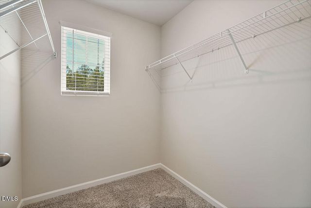 87 Anise Tree Way, Clayton, NC 27527