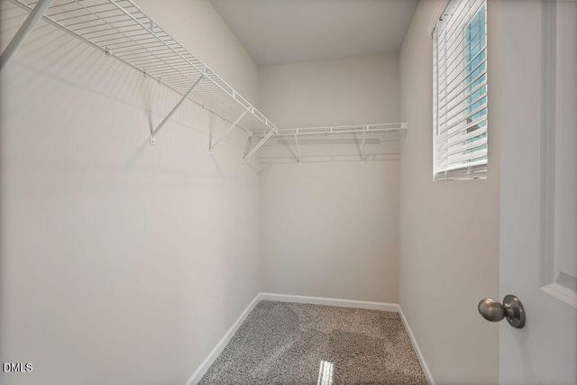 87 Anise Tree Way, Clayton, NC 27527