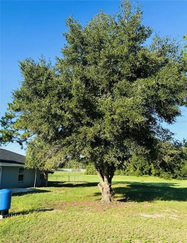 9709 SE SUNSET HARBOR ROAD, Summerfield, FL 34491