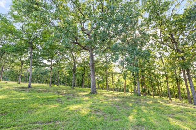 2506 Victor Church Road, Branson, MO 65616