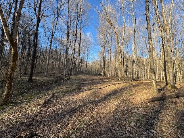 0 Jacobs Rd, Columbia, TN 38401