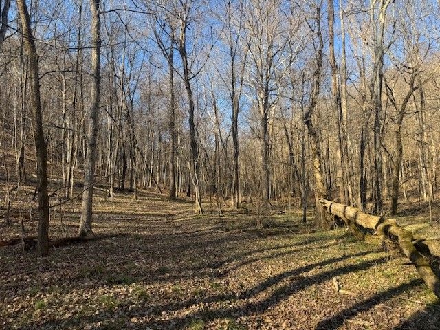 0 Jacobs Rd, Columbia, TN 38401
