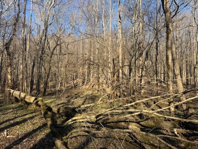 0 Jacobs Rd, Columbia, TN 38401