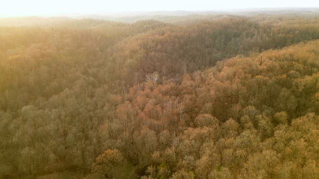 0 Jacobs Rd, Columbia, TN 38401