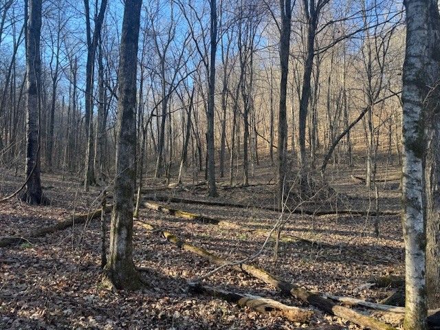 0 Jacobs Rd, Columbia, TN 38401