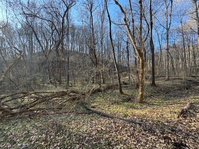 0 Jacobs Rd, Columbia, TN 38401