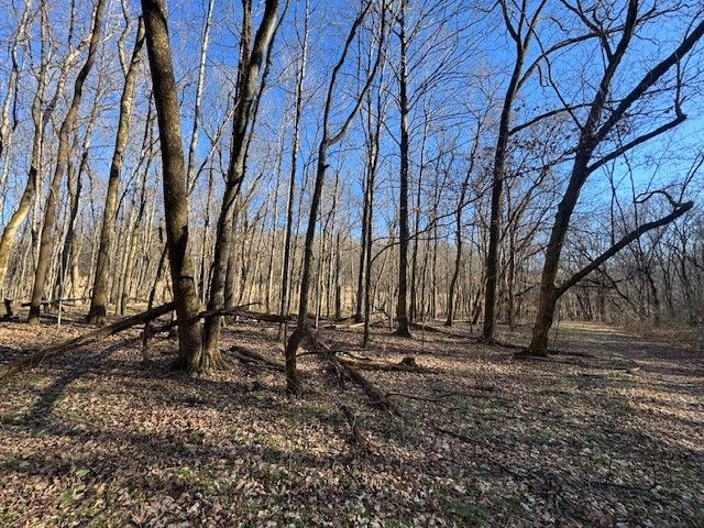 0 Jacobs Rd, Columbia, TN 38401