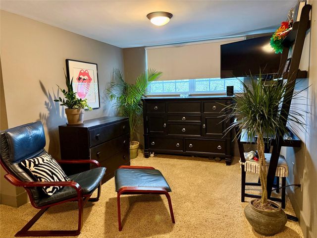 2507 Montrose Boulevard 36, Houston, TX 77006