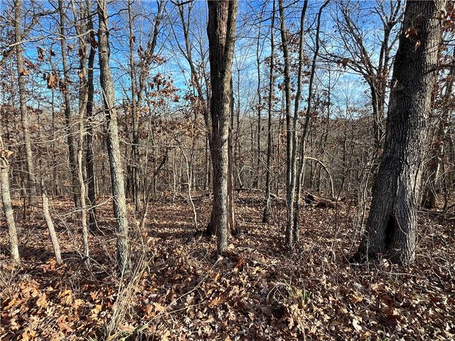 Lot 24, Block 13 Dewsbury Drive, Bella Vista, AR 72714