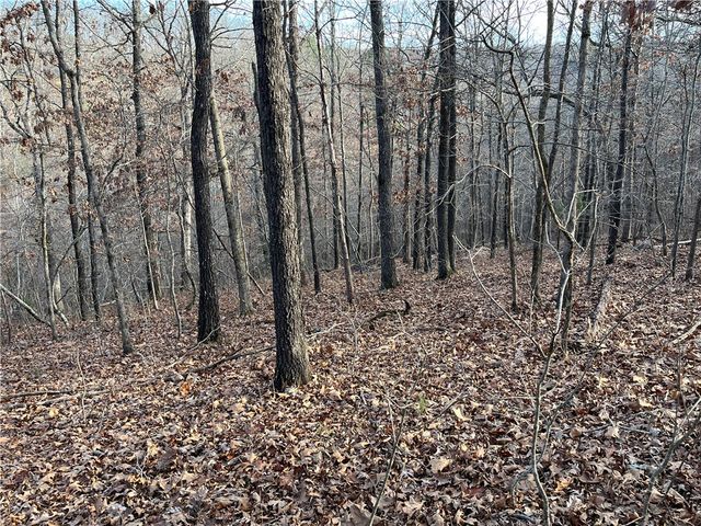 Lot 24, Block 13 Dewsbury Drive, Bella Vista, AR 72714