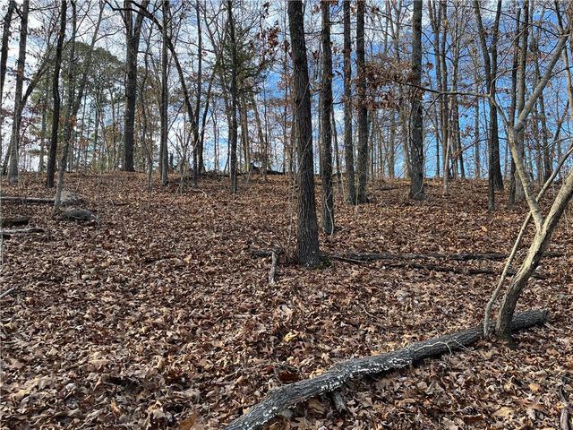 Lot 24, Block 13 Dewsbury Drive, Bella Vista, AR 72714