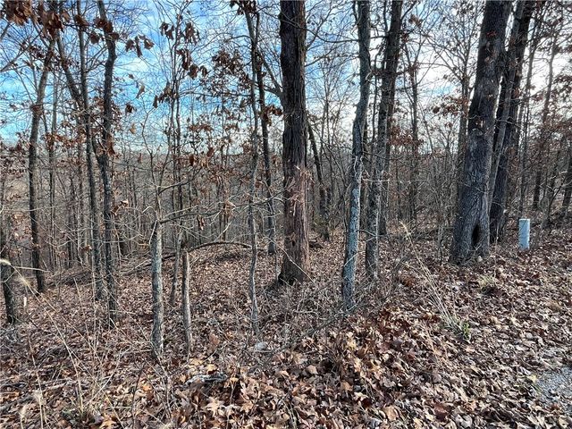 Lot 24, Block 13 Dewsbury Drive, Bella Vista, AR 72714